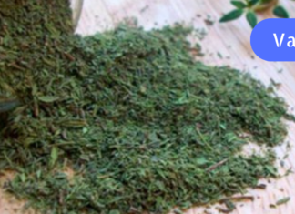 უწინ ეს ბალახი მხოლოდ სარეველა მეგონა. არადა თურმე ჭრილობებს ახორცებს და სისხლდენას აჩერებს!