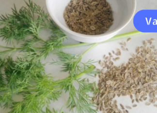 სასწაფო ინფორმაცია მათთვის ვინც სათვალეს ატარებს! კატარაქტის პროფილაქტიკისთვის ასეთ რეცეპტს გასწავლით