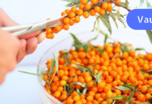 ახალგაზრდობის ელექსირი თქვენი სახისა და თმისთვის!! ქაცვის წარმოუდგენელი სარგებელი. .