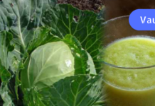 ნატურალური კოქტეილი, რომელიც დაგეხმარებათ 10 წლის განმავლობაში დაკარგული ინსულინის აღდგენაში…