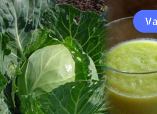 ნატურალური კოქტეილი, რომელიც დაგეხმარებათ 10 წლის განმავლობაში დაკარგული ინსულინის აღდგენაში…