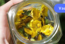 სასწრაფო მკურნალობა ყელის ტკივილისა და ანგინის დროს!! უებარი ხალხური მეთოდი. .