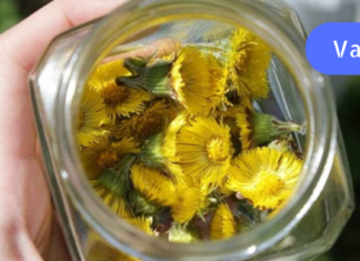 სასწრაფო მკურნალობა ყელის ტკივილისა და ანგინის დროს!! უებარი ხალხური მეთოდი. .