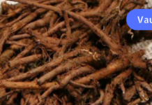 თუ გული გაწუხებთ, გირჩევთ აუცილებლად მოამზადოთ ნაყენი, რომელიც მხოლოდ გულის მუშაობას კი არ მოგიწესრიგებთ, მთელ ორგანიზმს გაგიმაგრებთ!