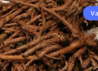 თუ გული გაწუხებთ, გირჩევთ აუცილებლად მოამზადოთ ნაყენი, რომელიც მხოლოდ გულის მუშაობას კი არ მოგიწესრიგებთ, მთელ ორგანიზმს გაგიმაგრებთ!