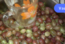 რას ვიფიქრებდი, ძლიერი თავის ტკივილის დაამება მედიკამენტების გარეშეც თუ შესაძლებელი იყო. აუცილებლად სცადეთ ეს მეთოდი!