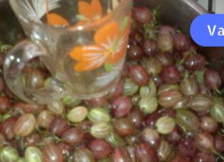 რას ვიფიქრებდი, ძლიერი თავის ტკივილის დაამება მედიკამენტების გარეშეც თუ შესაძლებელი იყო. აუცილებლად სცადეთ ეს მეთოდი!