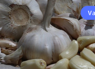 თუ გაწუხებთ არტერიული წნევა, მაშინ ამ ინფორმაცია სასწრაფოდ უნდა გაეცნოთ! წნევის დარეგულირება ასე მარტივი არ მეგონა