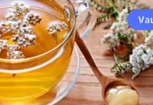 საუკეთესო საშუალება სისხლძარღვების გასამაგრებლად!