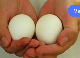 დაიწყეთ დღეში ორი კვერცხის ჭამა და ეს ცხრა სასიამოვნო ცვლილება მოხდება თქვენს ორგანიზმში!