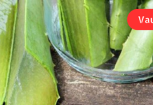 შეურიეთ ალოე ვერა ამ საშუალებას სწრაფი მათეთრებელი ეფექტისთვის!