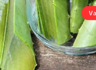 შეურიეთ ალოე ვერა ამ საშუალებას სწრაფი მათეთრებელი ეფექტისთვის!