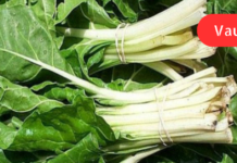 შეამცირეთ შფოთვის, დეპრესიის, გულის შეტევის და სხვათა რისკი მაგნიუმით მდიდარი საკვებით!