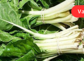 შეამცირეთ შფოთვის, დეპრესიის, გულის შეტევის და სხვათა რისკი მაგნიუმით მდიდარი საკვებით!