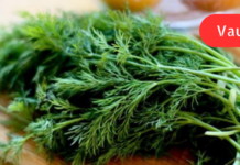 კამას აქამდე უცნობი ჯადოსნური თვისებები! ამის შესახებ თუ აქამდე არ გცოდნიათ დროა გაიგოთ. .