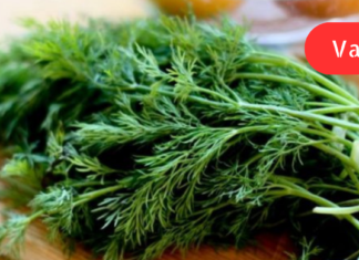 კამას აქამდე უცნობი ჯადოსნური თვისებები! ამის შესახებ თუ აქამდე არ გცოდნიათ დროა გაიგოთ. .