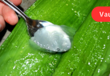 გაუთავებელი უპირატესობები და ალოე ვერას გამოყენების სწორი გზა სახეზე ლაქების აღმოსაფხვრელად!