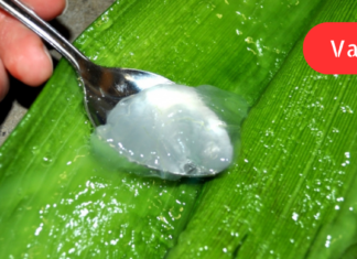 გაუთავებელი უპირატესობები და ალოე ვერას გამოყენების სწორი გზა სახეზე ლაქების აღმოსაფხვრელად!