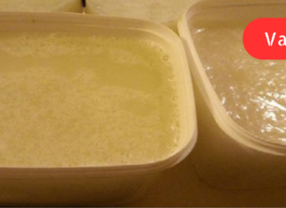 ეს რეცეპტი ნელ ნელა ცნობილი ხდება მთელს მსოფლიოში! მოიშუშეთ მუხლები და აღადგინეთ ძვლები და სახსრები დაუყოვნებლივ