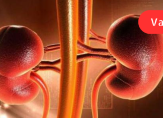 თირკმელების გაწმენდის 6 ბუნებრივი მეთოდი, რომლის შესახებაც უნდა იცოდეთ!