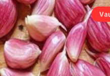 იცით, რატომაა რეკომენდებული უმი ნივრის ჭამა უზმოზე?