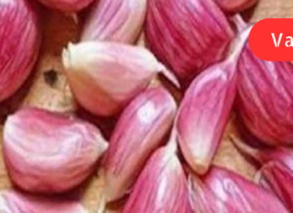 იცით, რატომაა რეკომენდებული უმი ნივრის ჭამა უზმოზე?