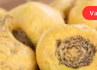 მწვანილი, რომელიც ყველა ქალს სჭირდება ყველანაირი სახის ჰორმონალური პრობლემის მოსაგვარებლად!