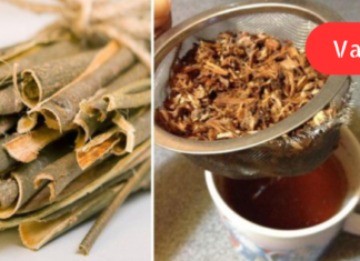 ტრადიციული მედიცინა გვირჩევს – ვარჯიშებს და რეცეპტებს ხერხემლის ტკივილის შესამსუბუქებლად!