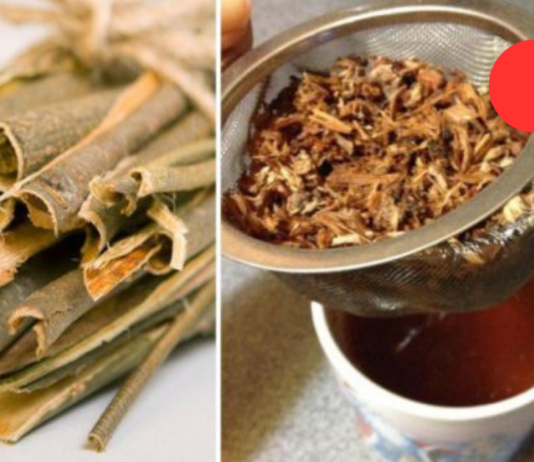 ტრადიციული მედიცინა გვირჩევს – ვარჯიშებს და რეცეპტებს ხერხემლის ტკივილის შესამსუბუქებლად!