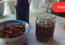 ტრადიციულ მედიცინაში არითმიის სამკურნალოდ მცენარეების შეგროვება ერთ-ერთი ეფექტური საშუალებაა ! არანაირი მედიკამენტები