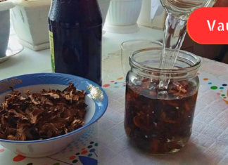 ტრადიციულ მედიცინაში არითმიის სამკურნალოდ მცენარეების შეგროვება ერთ-ერთი ეფექტური საშუალებაა ! არანაირი მედიკამენტები