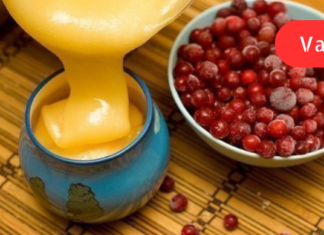 სასწრაფოდ! ნუღარ მიიღებთ მედიკამენტებს, დროა გაეცნოთ ამ ბუნებრივი საშუალებების რეცეპტებს, რომლებიც ნახველს სრულიად მოგაშორებთ!