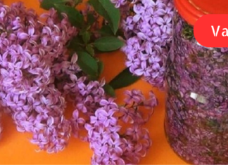 იასამანს სასიამოვნო სურნელთან ერთად სამკურნალო უნარიც გააჩნია! ეფექტური საშუალებაა ზურგის ტკივილის წინააღმდეგ