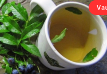 “მოცვის ნახარში შაქრიანი დიაბეტის უცვლელი მარეგულირებელია! მე მან გადამარჩინა, თქვენც უნდა სცადოთ. .”