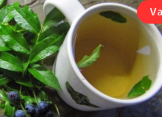 “მოცვის ნახარში შაქრიანი დიაბეტის უცვლელი მარეგულირებელია! მე მან გადამარჩინა, თქვენც უნდა სცადოთ. .”