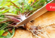 ბაბუაწვერას წვენი განსაკუთრებით კარგად მოქმედებს თავის ტვინის სისხლძარღვებზე იცავს ადამიანს სკლეროზისგან, აუმჯობესებს მეხსიერებას და ამშვიდებს ნერვებს!