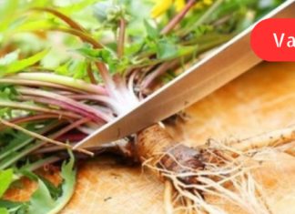 ბაბუაწვერას წვენი განსაკუთრებით კარგად მოქმედებს თავის ტვინის სისხლძარღვებზე იცავს ადამიანს სკლეროზისგან, აუმჯობესებს მეხსიერებას და ამშვიდებს ნერვებს!