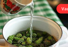 მაწუხებს გაგანიერებული ვენები. როგორც კი დაცხება, ფეხები ადვილად მეღლება, მტკივდება, მეუფლება სიმძიმის შეგრძნება! ხალხურ მედიცინაში კი მივაგენი გასაოცარ რეცეპტებს. .