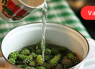 მაწუხებს გაგანიერებული ვენები. როგორც კი დაცხება, ფეხები ადვილად მეღლება, მტკივდება, მეუფლება სიმძიმის შეგრძნება! ხალხურ მედიცინაში კი მივაგენი გასაოცარ რეცეპტებს. .