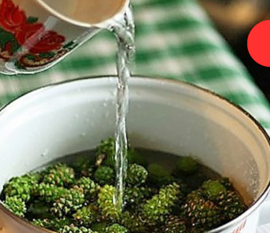 მაწუხებს გაგანიერებული ვენები. როგორც კი დაცხება, ფეხები ადვილად მეღლება, მტკივდება, მეუფლება სიმძიმის შეგრძნება! ხალხურ მედიცინაში კი მივაგენი გასაოცარ რეცეპტებს. .