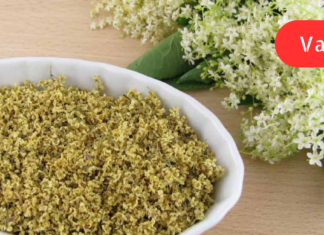 ზოგიერთს სიცხეში წყალივით სდის ოფლი და ბავშვივით ეწვება კანი, ერთმა ნაცნობმა კი მირჩია მომემზადებინა ეს საშუალება, რომელიც ძალიან მალე აქრობს კანის ანთებას და მსგავს პრობლემებს. .