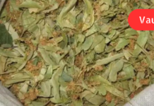 დღეს ბევრი ექიმი ამტკიცებს, რომ გრიპის და სხვა ინფექციების დროს არ არის საჭირო მაღალი ტემპერატურის დაწევა წამლებით, რადგან თურმე, ამით ხელს ვუშლით ორგანიზმს ინფექციასთან ბრძოლაში.