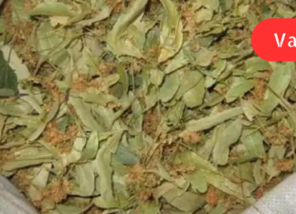 დღეს ბევრი ექიმი ამტკიცებს, რომ გრიპის და სხვა ინფექციების დროს არ არის საჭირო მაღალი ტემპერატურის დაწევა წამლებით, რადგან თურმე, ამით ხელს ვუშლით ორგანიზმს ინფექციასთან ბრძოლაში.