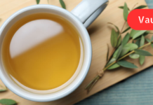 თუ თქვენც ხშირად გემართებათ ანგინა, მაშინ ამ ინფორმაციას დღესვე უნდა გაეცნოთ!