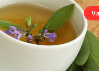 რამდენიმე წლის წინათ გავცივდი და მას შემდეგ თავი ვეღარ დავაღწიე ცისტიტს — როგორც კი შემცივდებოდა, მაშინვე მიღიზიანდებოდა შარდის ბუშტი, მეწყებოდა ტკივილი