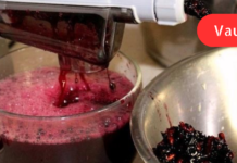 80 წლის ქალი ვარ და ჩემს ჯანმრთელობას სამკურნალო მცენარეებს ვუმადლი. მინდა შემოგთავაზოთ წნევის მარეგულირებელი რამდენიმე საშუალება: