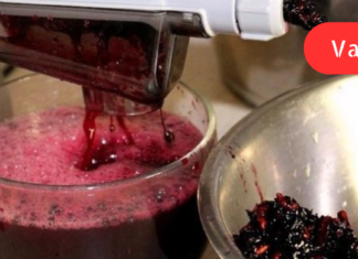 80 წლის ქალი ვარ და ჩემს ჯანმრთელობას სამკურნალო მცენარეებს ვუმადლი. მინდა შემოგთავაზოთ წნევის მარეგულირებელი რამდენიმე საშუალება: