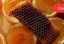 პროპოლისი გიხსნით ასობით დაავადებისგან! იგი ბუნების ფასდაუდებელი საჩუქარია!