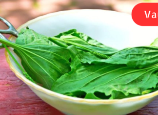 ძალიან მაწუხებდა კუჭის წყლული, თირკმელები, ადვილად ვცივდებოდი და იმუნიტეტიც დაქვეითებული მქონდა. ერთმა მადლიანმა ადამიანმა მასწავლა უებარი საშუალება, რომელიც უამრავ დაავადებას შველის!