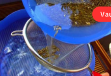 დიდი ხნის განმავლობაში მქონდა დარღვეული საჭმლის მონელება საკმარისი იყო ცოტა ცხიმიანი საკვები მიმეღო, რომ მაშინვე ამეშლებოდა კუჭი,მიგროვდებოდა გაზებიც, ამიტომაც ამ ნაყენის მიღება გადავწყვიტე. .